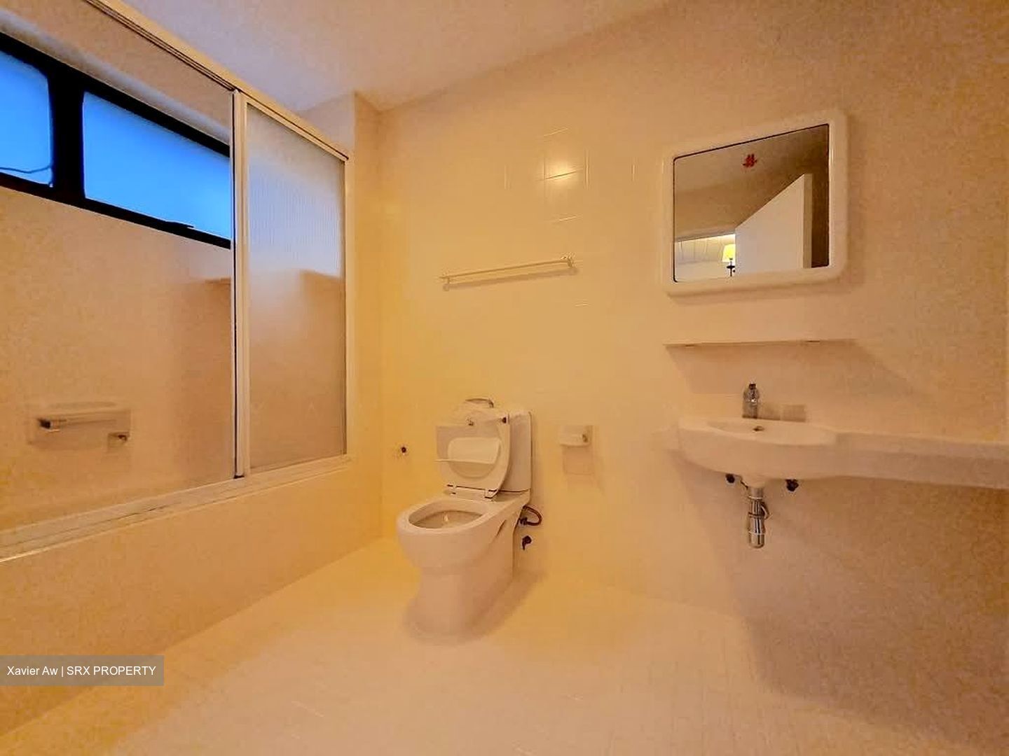 The Cairnhill (D9), Condominium #555566401